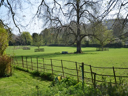 Luxury Own Horse Stay in Wiltshire